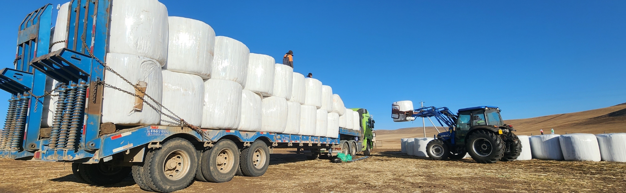 БИД ЧАНАРЫГ ЭРХЭМЛЭНЭ