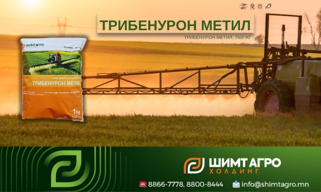 Трибенурон метил